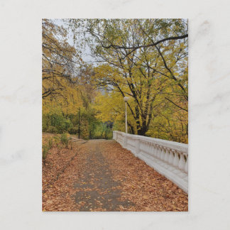 Herbst im alten Park. Postkarte