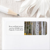 Herbst im Aspen (Insitu)
