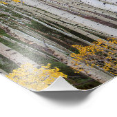 Herbst im Aspen Fotodruck (Ecke)