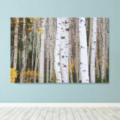 Herbst im Aspen Leinwanddruck (Insitu (Holzboden))