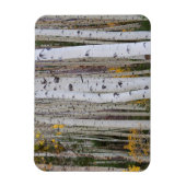 Herbst im Aspen Magnet (Vertikal)