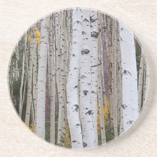 Herbst im Aspen Untersetzer (Vorne)