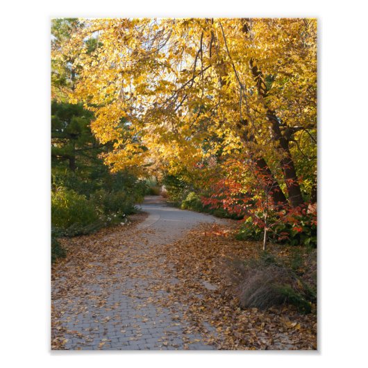 Herbst im botanischen Garten in Madison Fotodruck (Vorne)