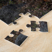 Herbst im Central Park New York Puzzle (Seite)