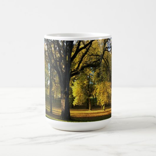 Herbst im Champoeg Staat Park, OR Kaffeetasse (Mittel)