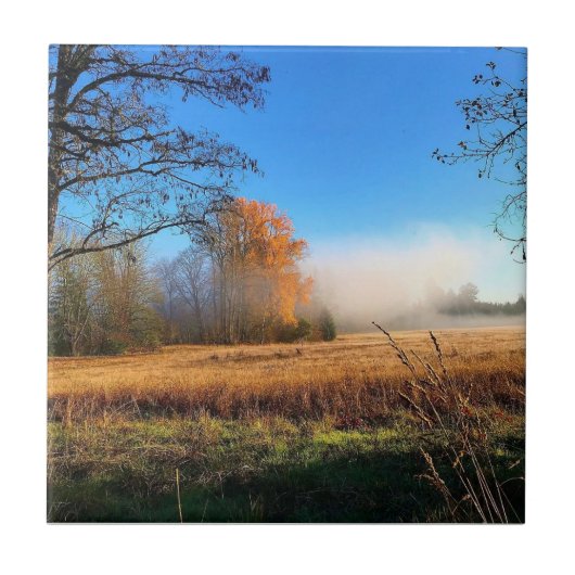 Herbst im Champoeg Staat Park, Oregon Poster Fliese (Vorderseite)
