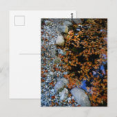 Herbst im Garten Postkarte (Vorne/Hinten)
