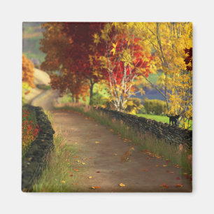 Herbst im Glen Magnet