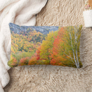 Herbst im Grafton Notch State Park, Maine Lendenkissen