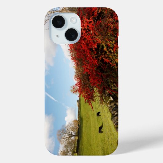 Herbst im Land Case-Mate iPhone Hülle (Rückseite)