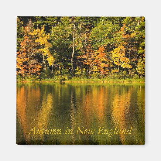 Herbst im New England Magnet (Vorne)