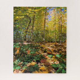 Herbst im New York Jigsaw Puzzle