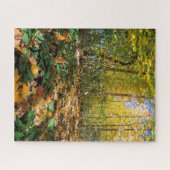 Herbst im New York Jigsaw Puzzle (Horizontal)