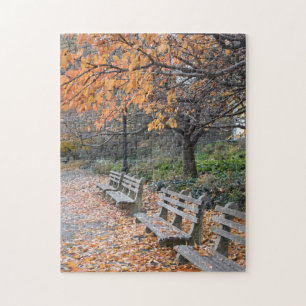 Herbst im New Yorker Riverside Park NYC-Foto Puzzle