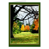 Herbst im Park (Vorne)