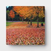 Herbst im Park Fotoplatte (Vorderseite)