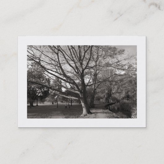 Herbst im Park (grenzt) Visitenkarte (Vorderseite)