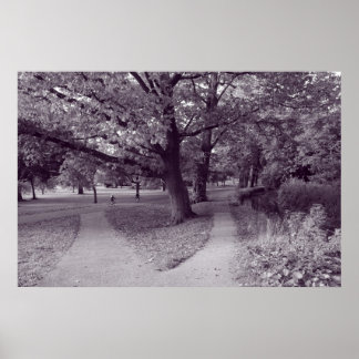 Herbst im Park - Lila Toned BW Poster