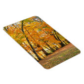 Herbst im Park mit Holzbrücke Magnet (Rechte Seite)