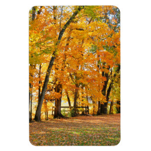 Herbst im Park mit Holzbrücke Magnet