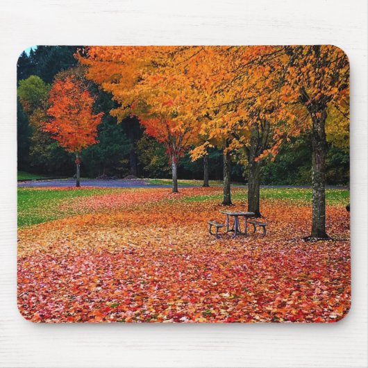 Herbst im Park Mousepad (Vorne)