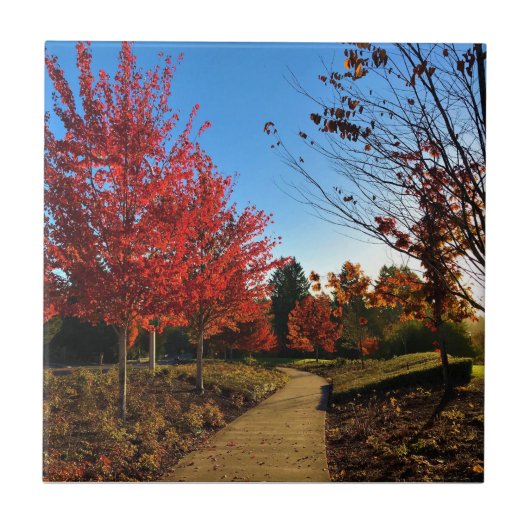 Herbst im Park, Oregon Fliese (Vorderseite)