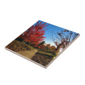 Herbst im Park, Oregon Fliese (Seite)