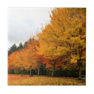 Herbst im Park, Oregon Fliese