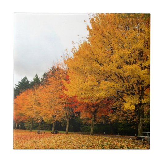Herbst im Park, Oregon Fliese (Vorderseite)