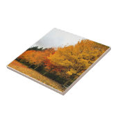 Herbst im Park, Oregon Fliese (Seite)