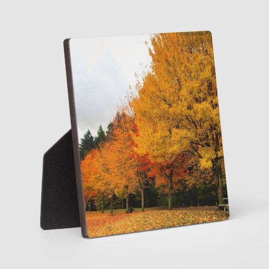 Herbst im Park, Oregon Fotoplatte (Vorderseite)