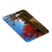Herbst im Park, Oregon Magnet (Rechte Seite)