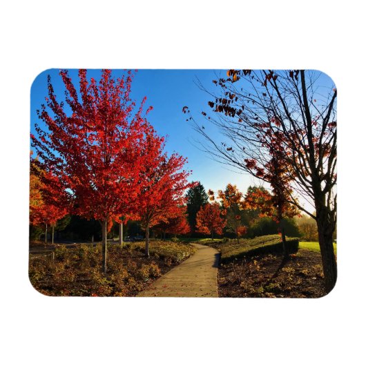 Herbst im Park, Oregon Magnet (Horizontal)