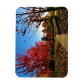 Herbst im Park, Oregon Magnet (Vertikal)