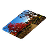 Herbst im Park, Oregon Magnet (Linke Seite)