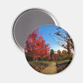 Herbst im Park, Oregon Magnet (Vorderseite/Rückseite)
