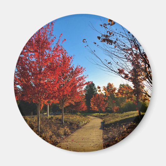 Herbst im Park, Oregon Magnet (Vorne)