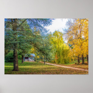 Herbst im Park Poster