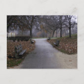 Herbst im Park Postkarte (Vorderseite)