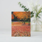 Herbst im Park Postkarte (Stehend Vorderseite)