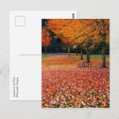 Herbst im Park Postkarte (Vorne/Hinten)