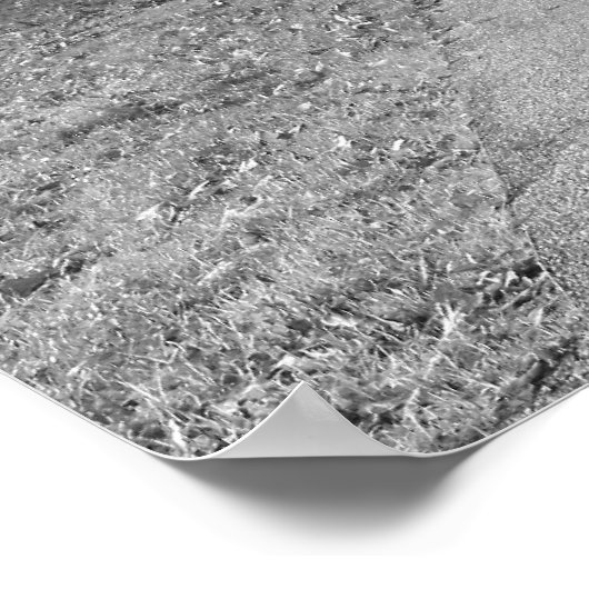 Herbst im Park - Schwarz und Weiß Poster (Ecke)