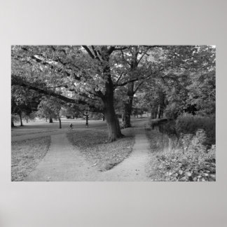 Herbst im Park - Schwarz und Weiß Poster