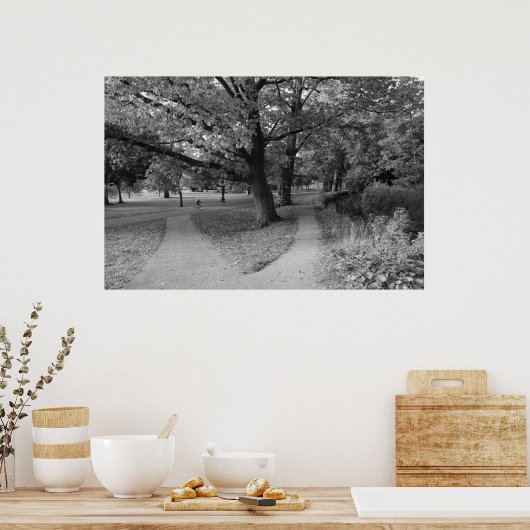Herbst im Park - Schwarz und Weiß Poster (Küche)