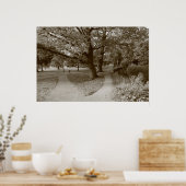 Herbst im Park - Sepia Toned BW Poster (Küche)