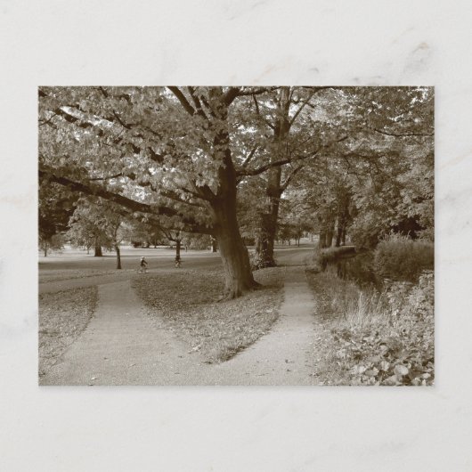 Herbst im Park - Sepia Toned BW Postkarte (Vorderseite)