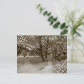 Herbst im Park - Sepia Toned BW Postkarte (Stehend Vorderseite)