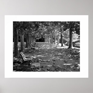 Herbst im Park: Tokio Poster