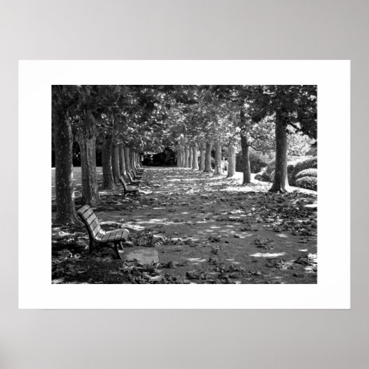 Herbst im Park: Tokio Poster (Vorne)