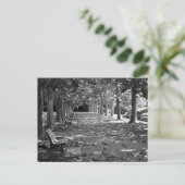 Herbst im Park: Tokio Postkarte (Stehend Vorderseite)